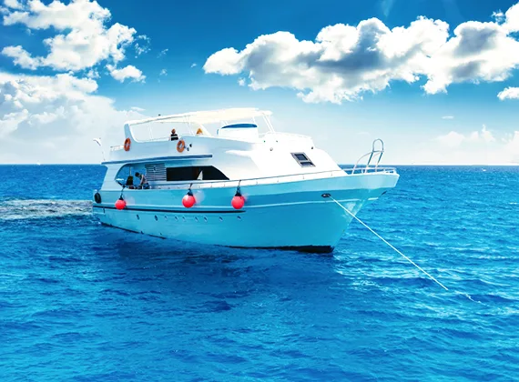 Surfers Paradise, Surfing Vacation - mk体育